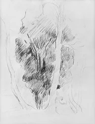 Study of trees